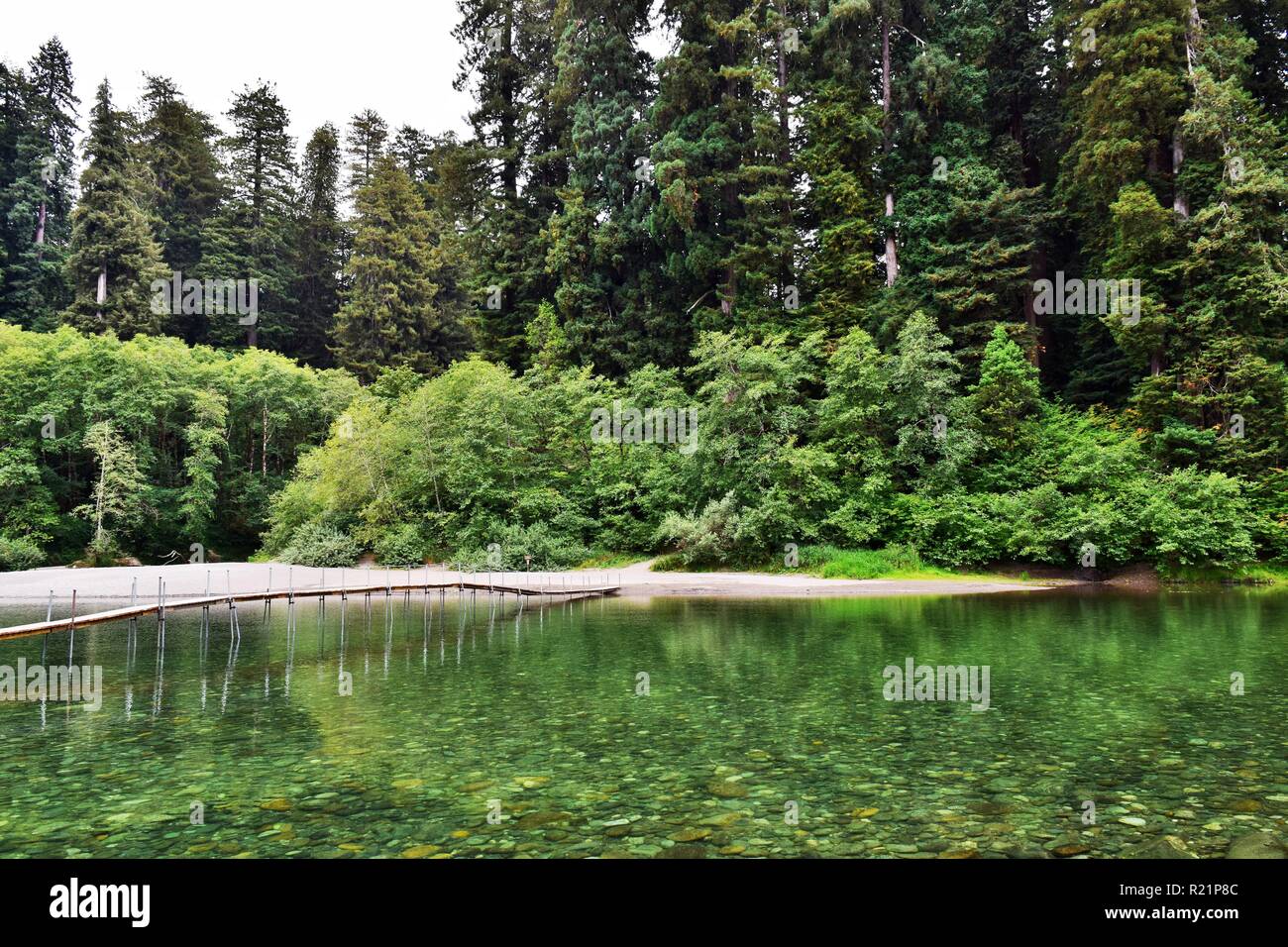 The Smith River at Jedediah Smith Redwoods State Park Stock Photo