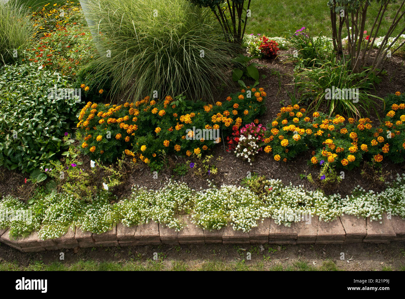 garden bed maintained by residence of senior apartments. Stock Photo