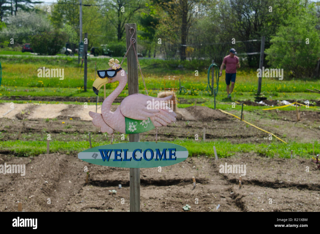 Sign with flamingo welcoming gardeners to the community garden, Maine, USA Stock Photo