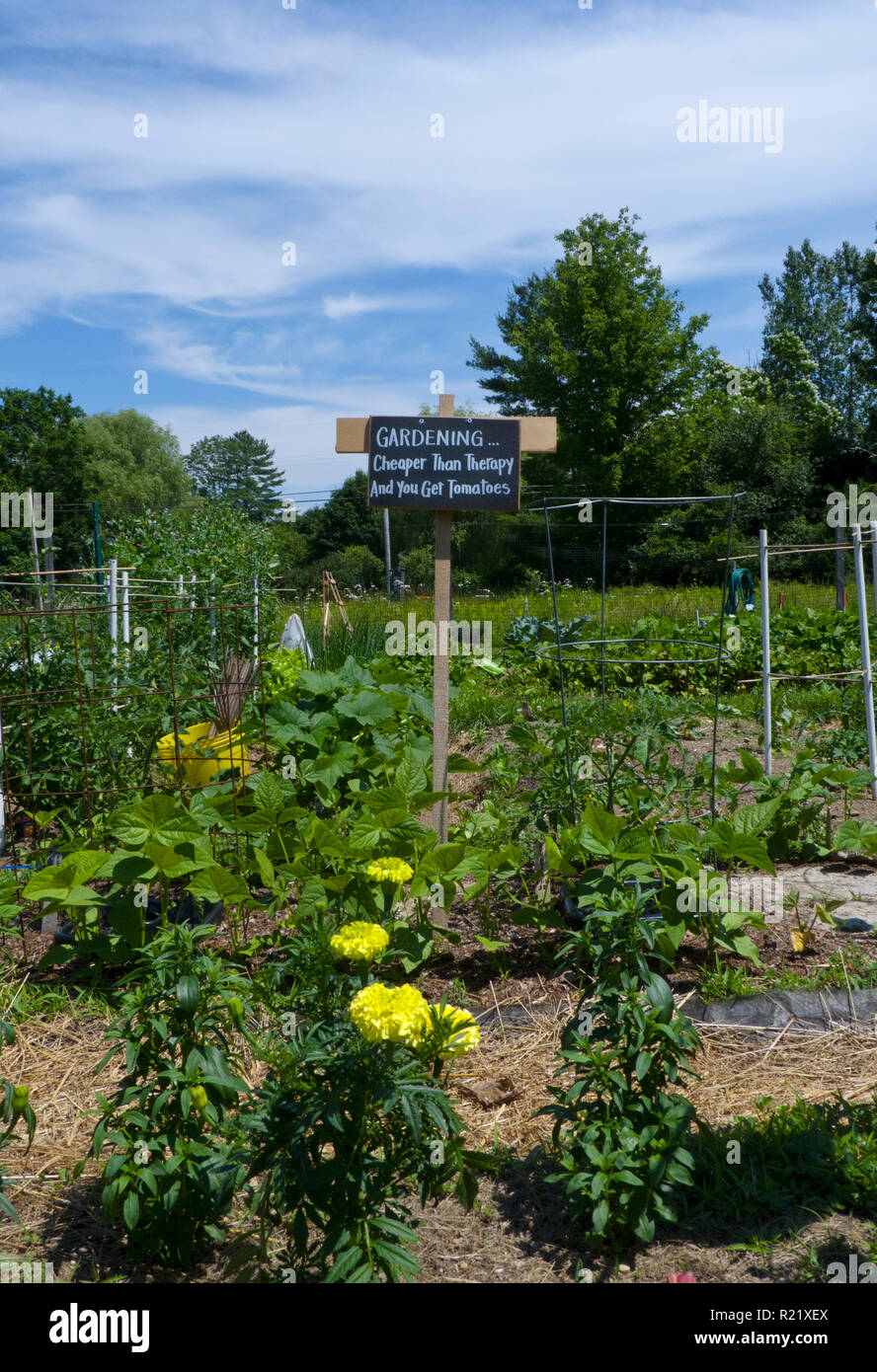 Funny sign in community garden, 'Gardening is cheaper than therapy and you get tomatoes', Maine USA Stock Photo
