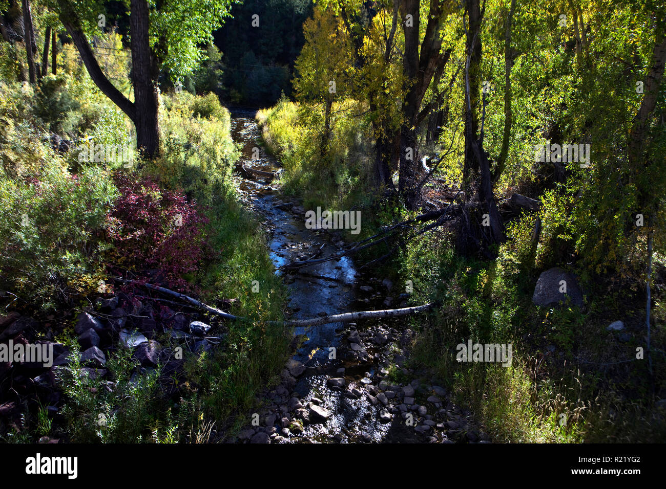 San Miguel River Valley, Colorado Stock Photo