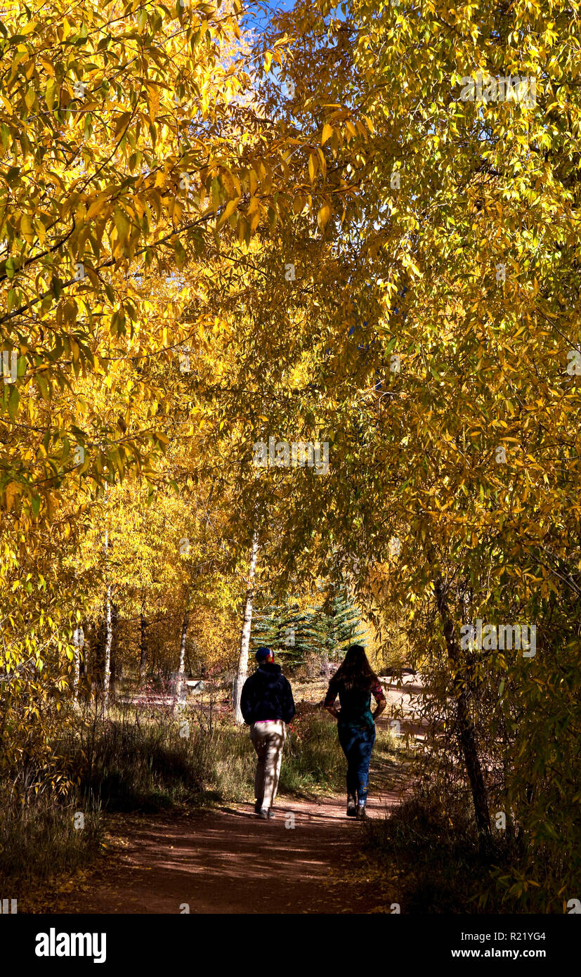 Walk in Fall Forest, Telluride, Colorado Stock Photo