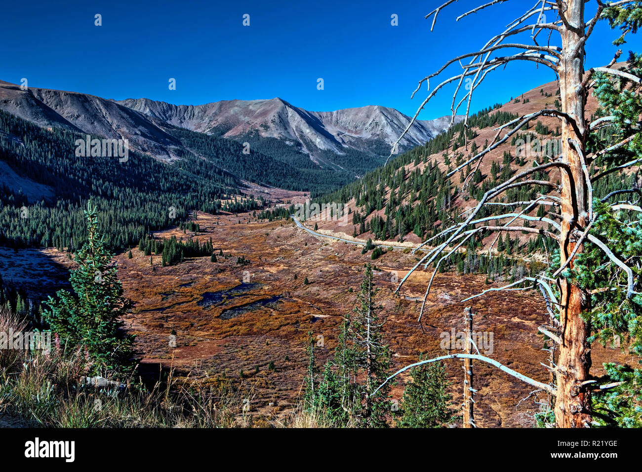 Roaring River Valley, Colorado Stock Photo