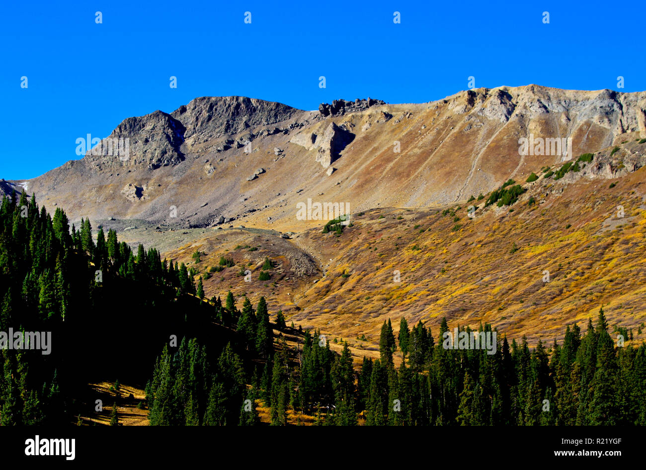 Alpine region, Rocky Mountain National Park, Colorado Stock Photo