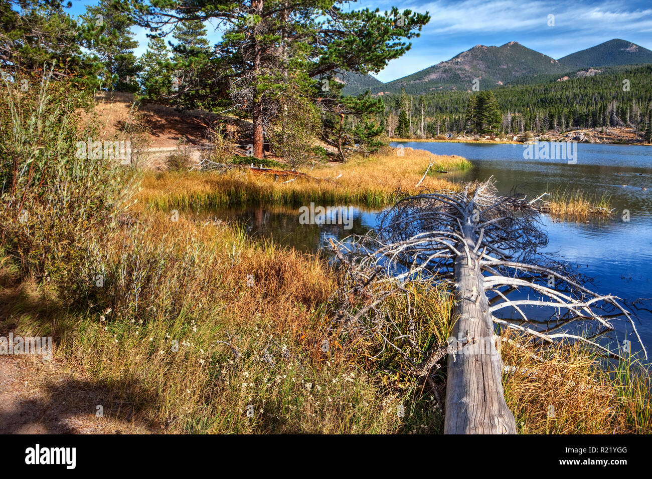 Sprague Lake, Rocky Mountain National Park, Colorado Stock Photo