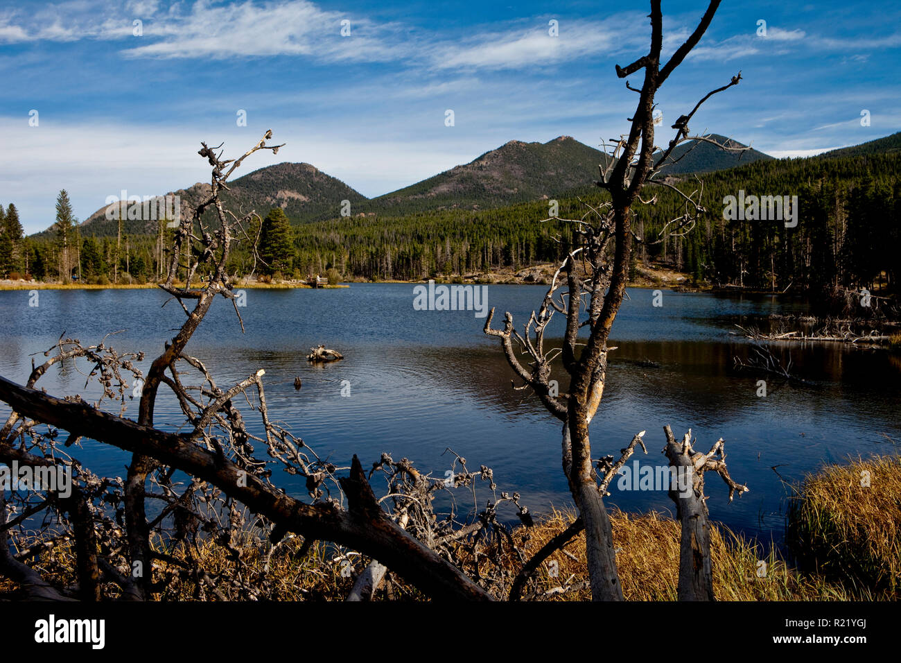 Sprague Lake, Rocky Mountain National Park, Colorado Stock Photo