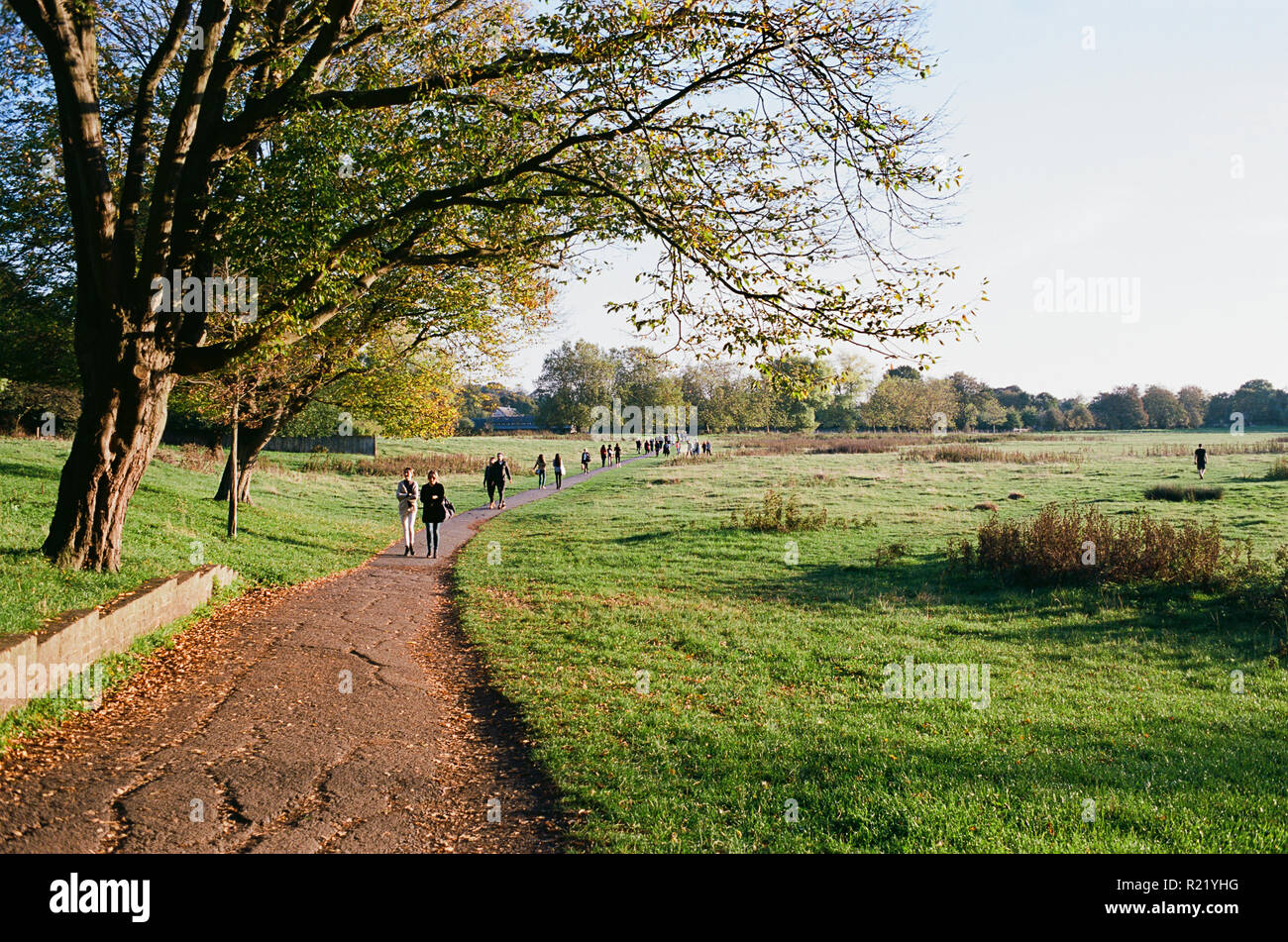 Petersham Meadows near Richmond, Greater London UK, in early autumn Stock Photo