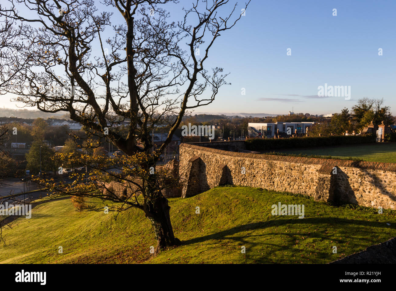 View from top of Castle Gardens, looking at walls on hillside with large tree in foreground.  Lisburn, N.Ireland. Stock Photo