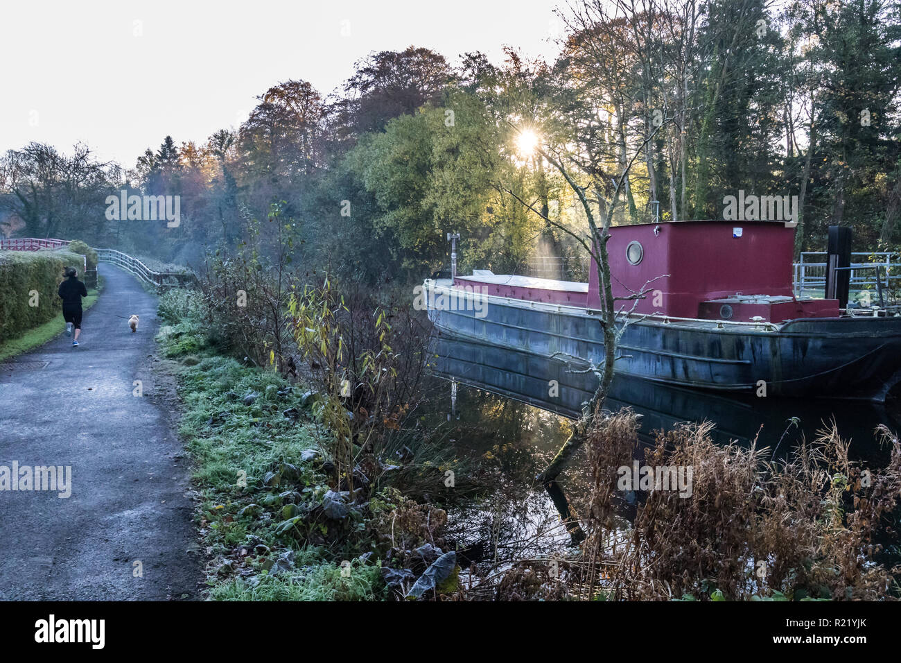 Sunlight bursts through the trees and mist on a cold frosty morning behind a canal barge with path alongside with girl joggin with dog. Lagan Towpath, Stock Photo