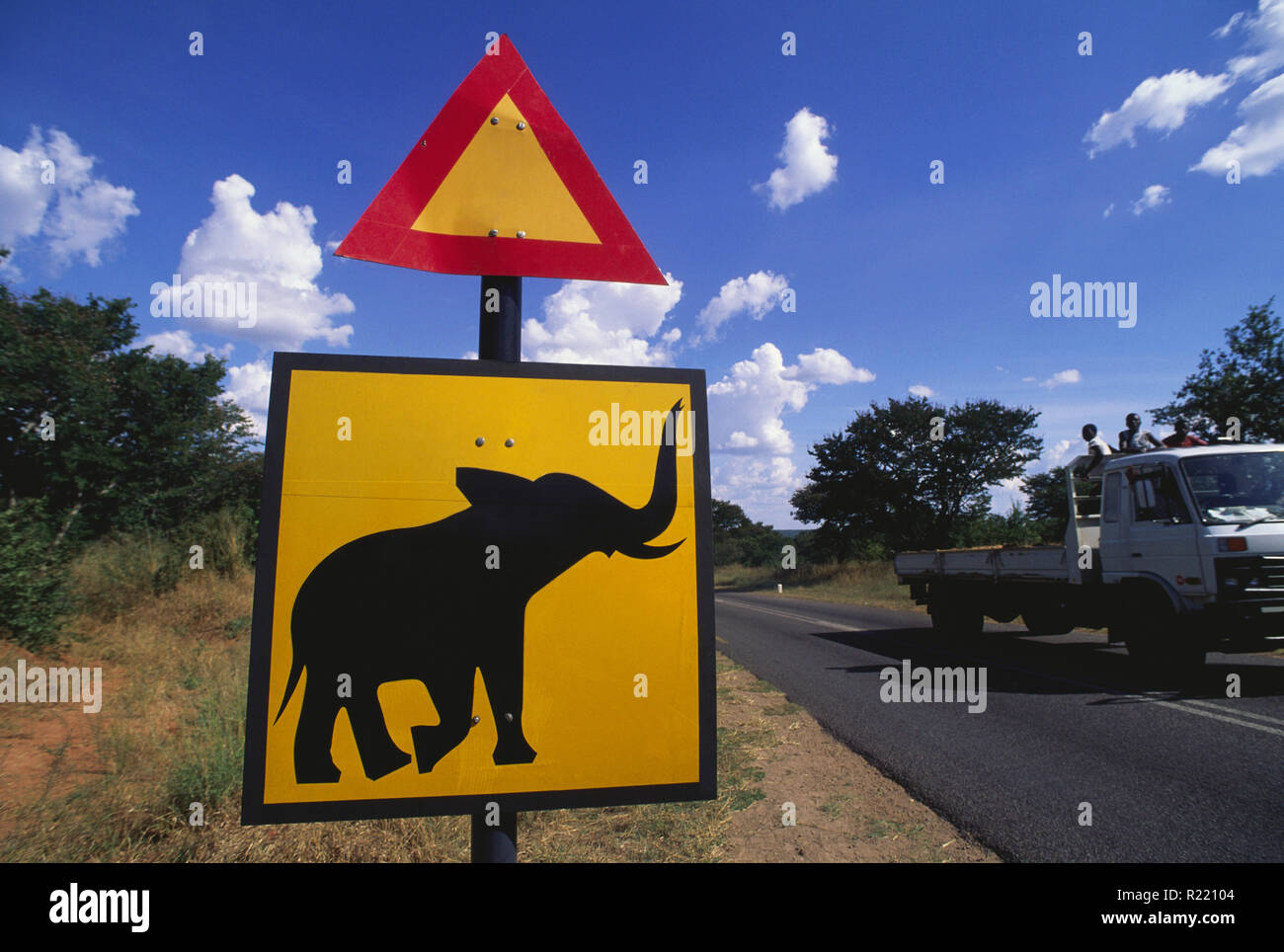 Road sign in Zimbabwe warns drivers of the presence of elephants in the area. African elephants are elephants of the genus Loxodonta. Stock Photo