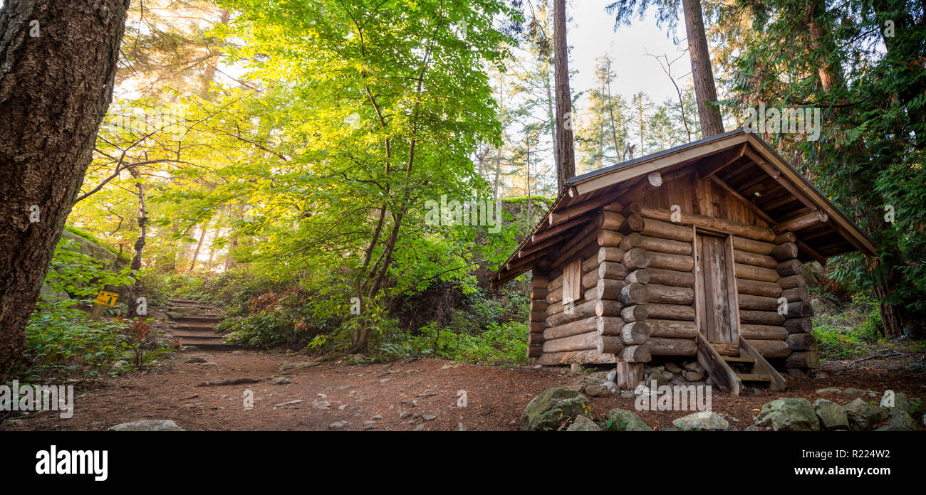 Log cabin in a forest in the summer in Lighthouse Park Stock Photo - Alamy
