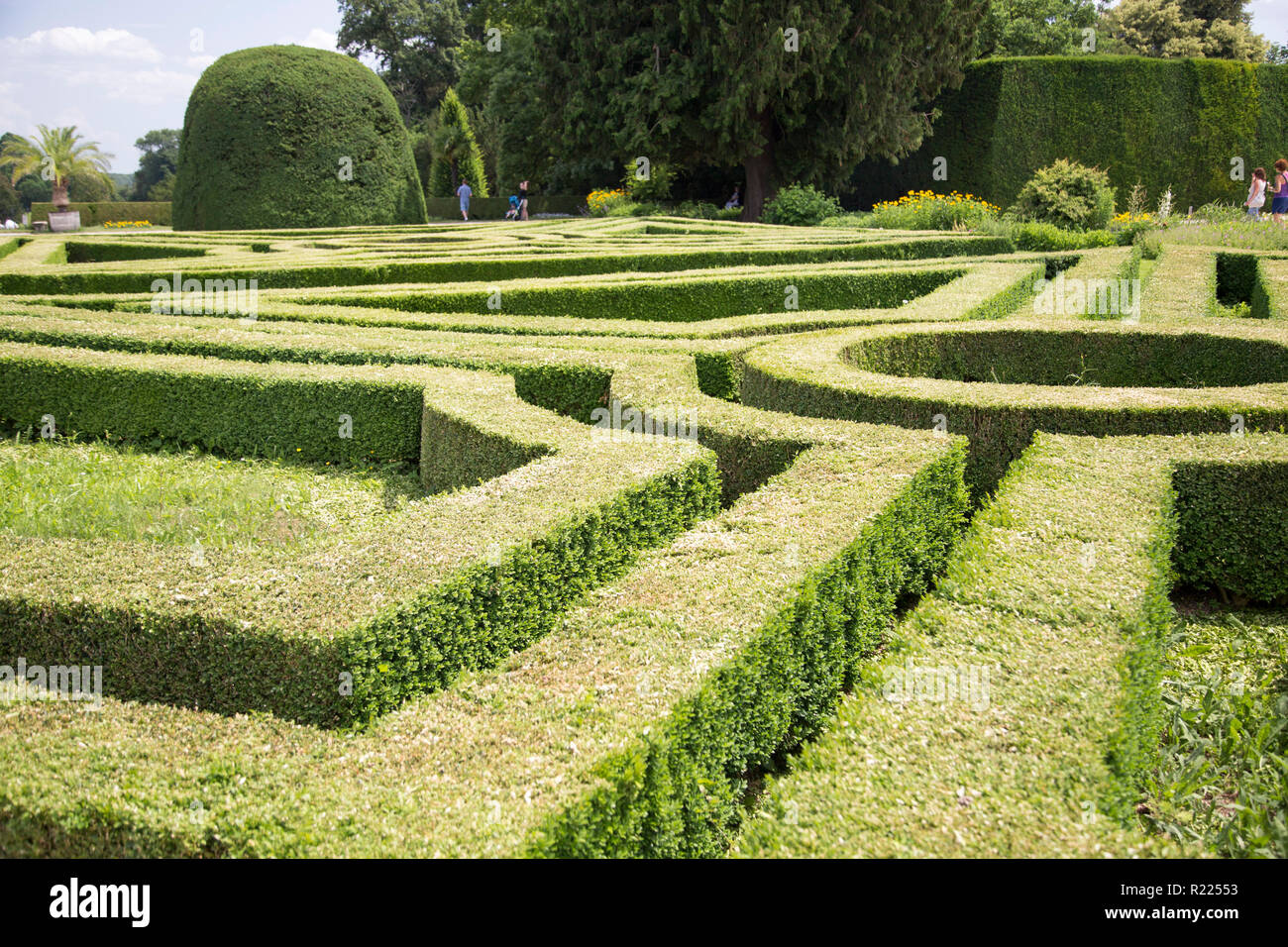 French garden with hedge Stock Photo