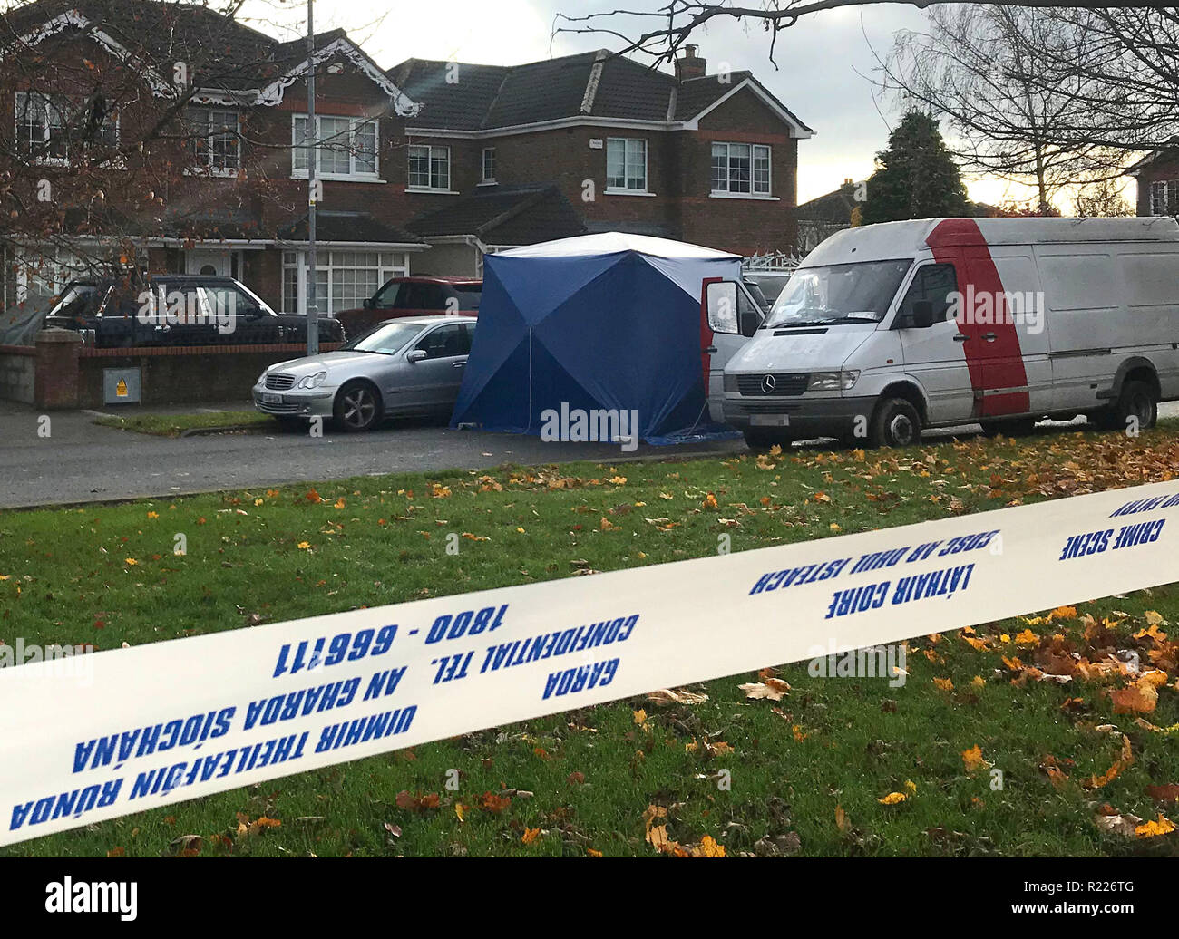 When Daly showed him a photograph of the crime scene with Anas body Ana didnt like pizza, so she walked into Leixlip and brought home a spice bag from The boy would have to apply to the High Court at a later date. Ana Krigel murder trial: The complete story - The Irish Times