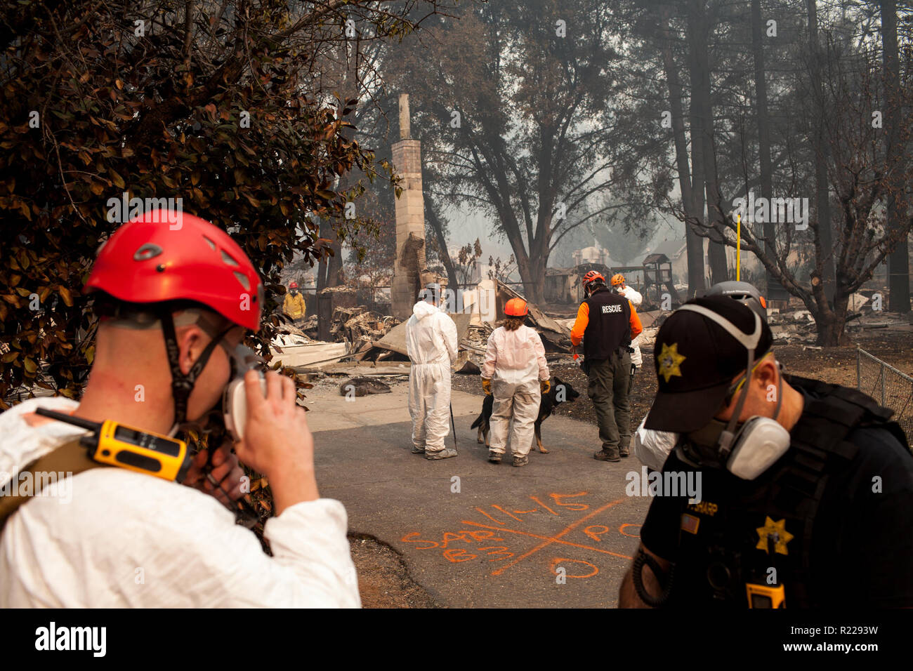 A Sonoma County Search and Rescue team continues a search for missing ...