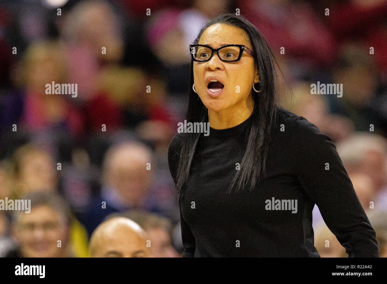 Columbia, SC, USA. 15th Nov, 2018. South Carolina Gamecocks head coach Dawn Staley in shock at the call in the NCAA Womens Basketball matchup at Colonial Life Arena in Columbia, SC. (Scott Kinser/Cal Sport Media) Credit: csm/Alamy Live News Stock Photo