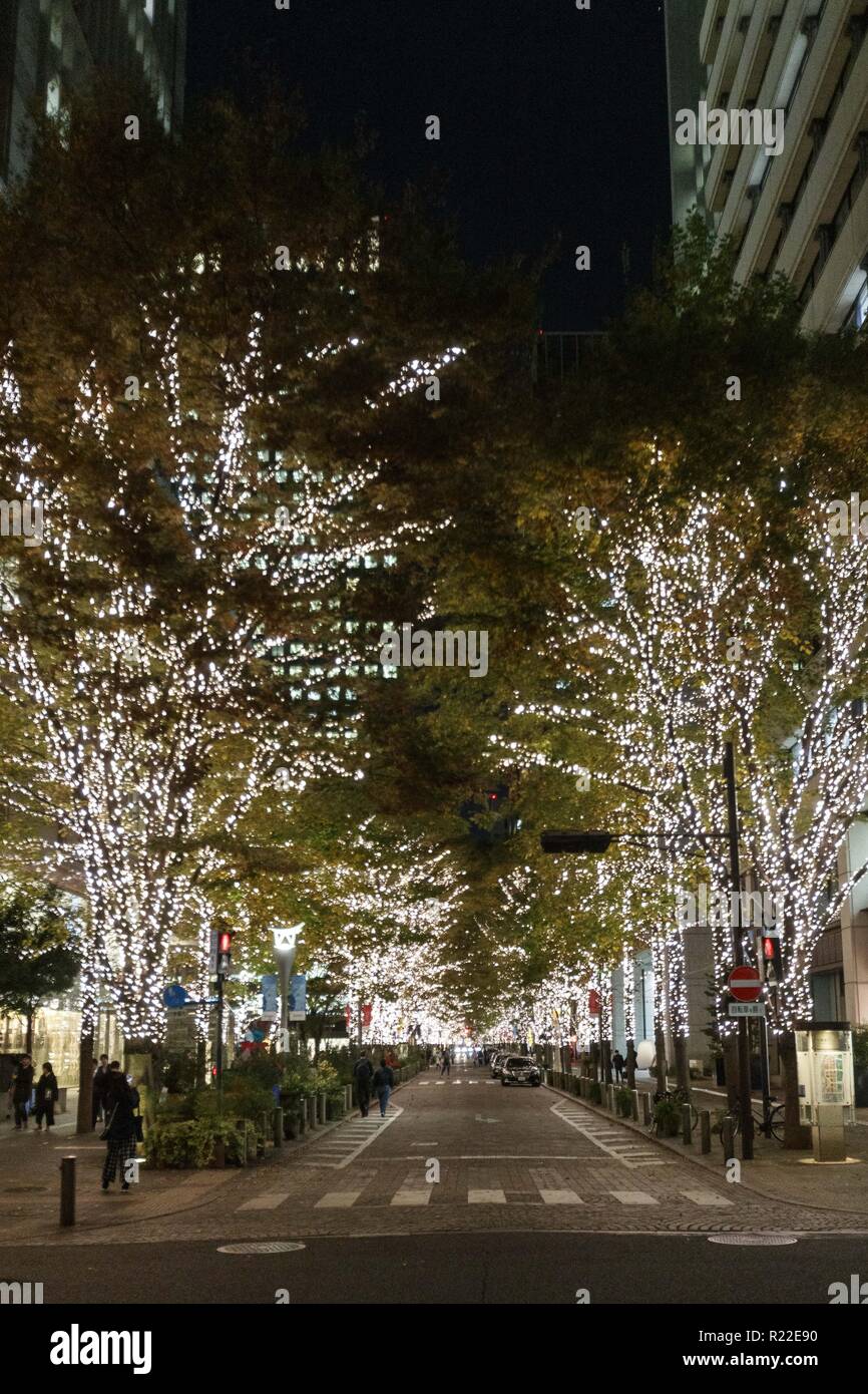 November 15, 2018 - Tokyo, Japan - LED lights illuminate the Marunouchi business district in Tokyo. This year, 1,000,000 champagne color lights are used to light up Yurakucho area and Marunouchi Nakadori Street which is one of the most popular illumination spots in Tokyo during Christmas season. The illumination is held until February 17, 2019. (Credit Image: © Rodrigo Reyes Marin/ZUMA Wire) Stock Photo