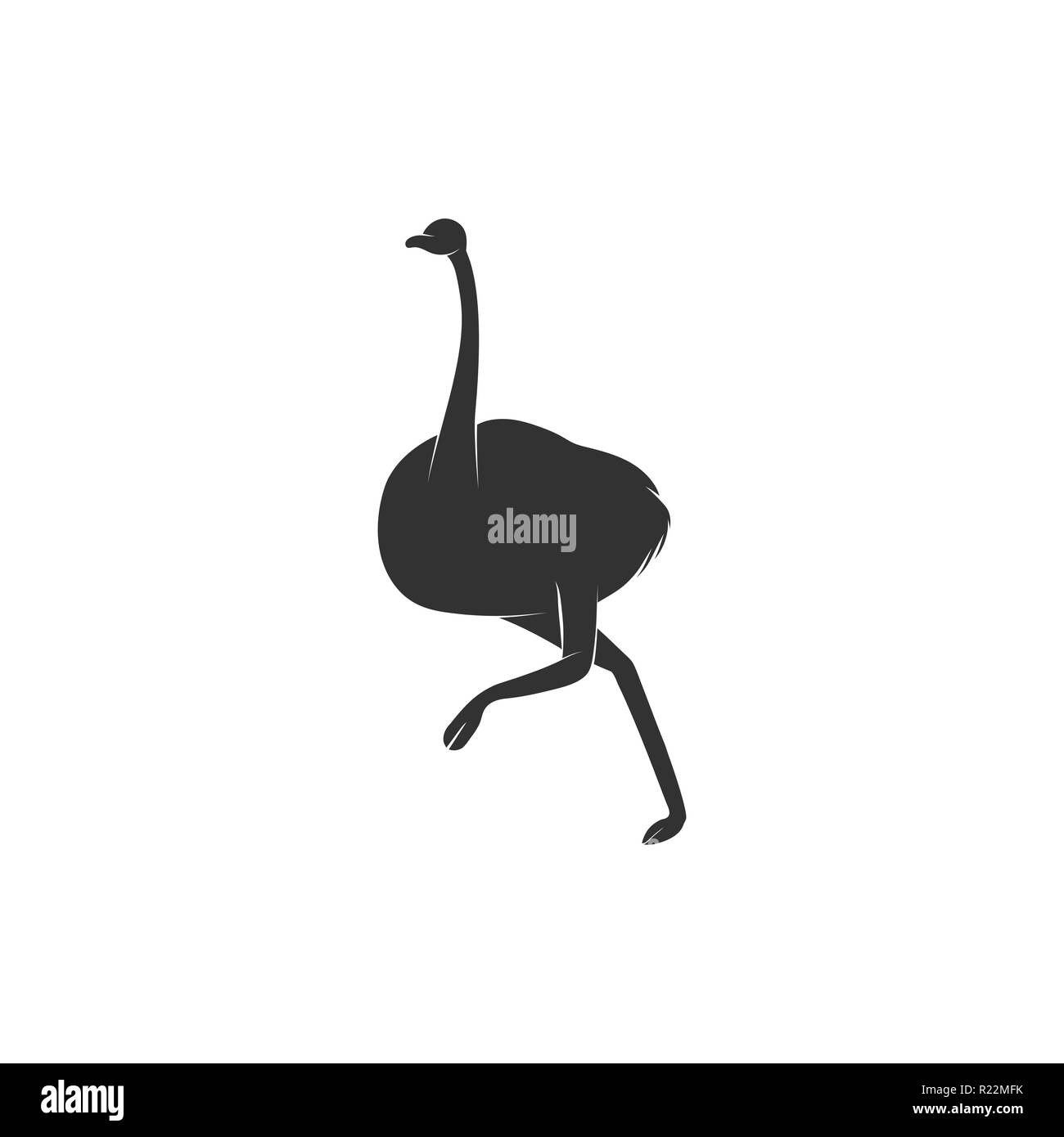 Emu bird running silhouette isolated on white background. Australian ostrich shadow for logo design. Stock Vector