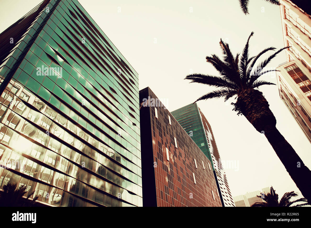 Palm trees modern buildings hi-res stock photography and images - Alamy