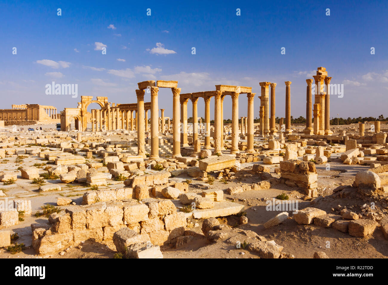 Palmyra, Homs Governorate, Syria - May 26th, 2009 : Great Colonnade of Palmyra at sunset. Built during the second and third century CE, it stretched f Stock Photo