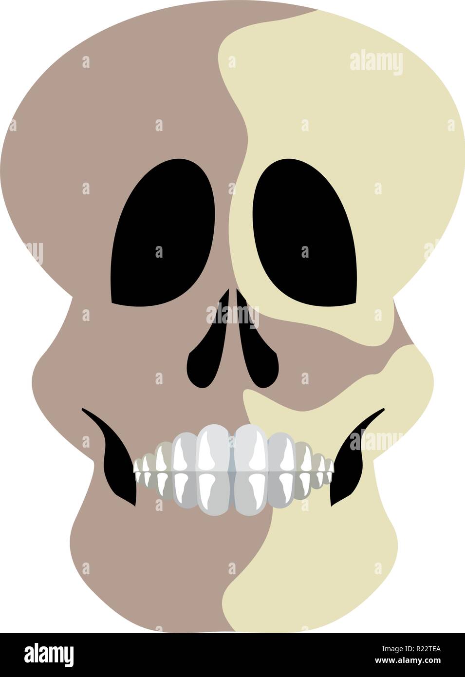 skull human on white background vector illustration Stock Vector Image ...
