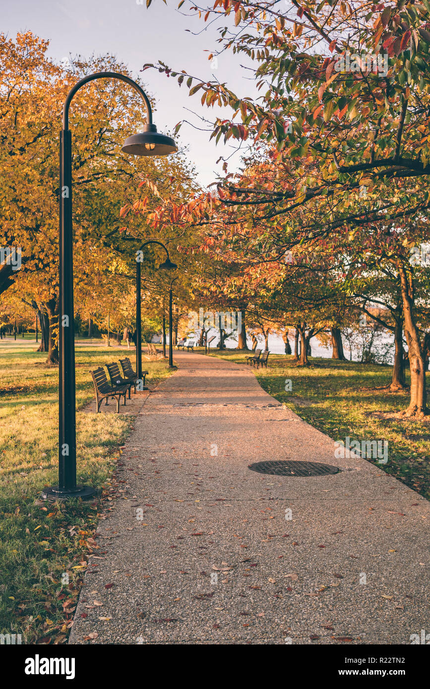 Fall scene with a walking path and a lamp post Stock Photo