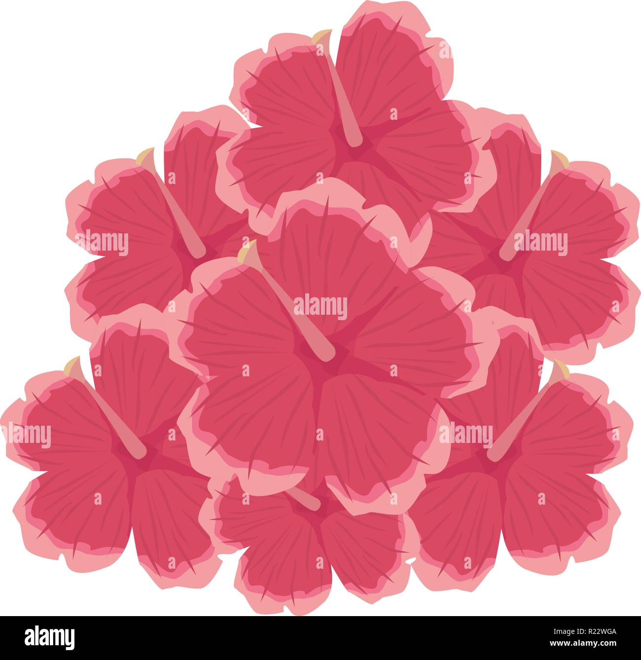 bouquet flowers on white background vector illustration Stock Vector ...