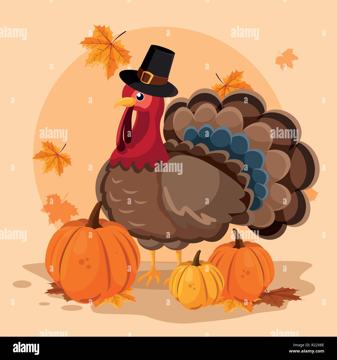 turkey with pumpkins and hat pilgrim of thanksgiving day vector ...