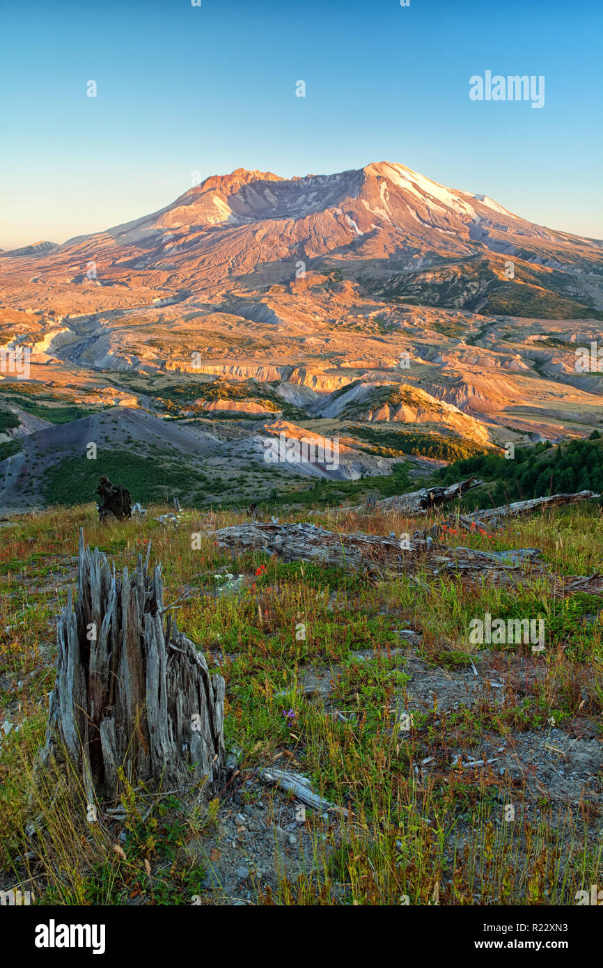 The volcano Mount Saint Helens in Washington, USA Stock Photo - Alamy