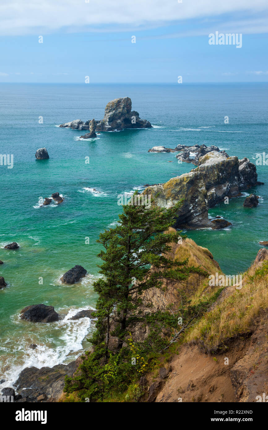 Seastacks off the Oregon coast near Cannon Beach, USA Stock Photo - Alamy