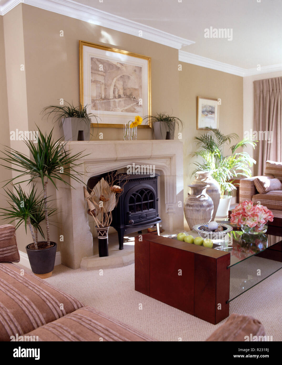 Houseplants Either Side Of A Stone Fireplace With A Wood Burning