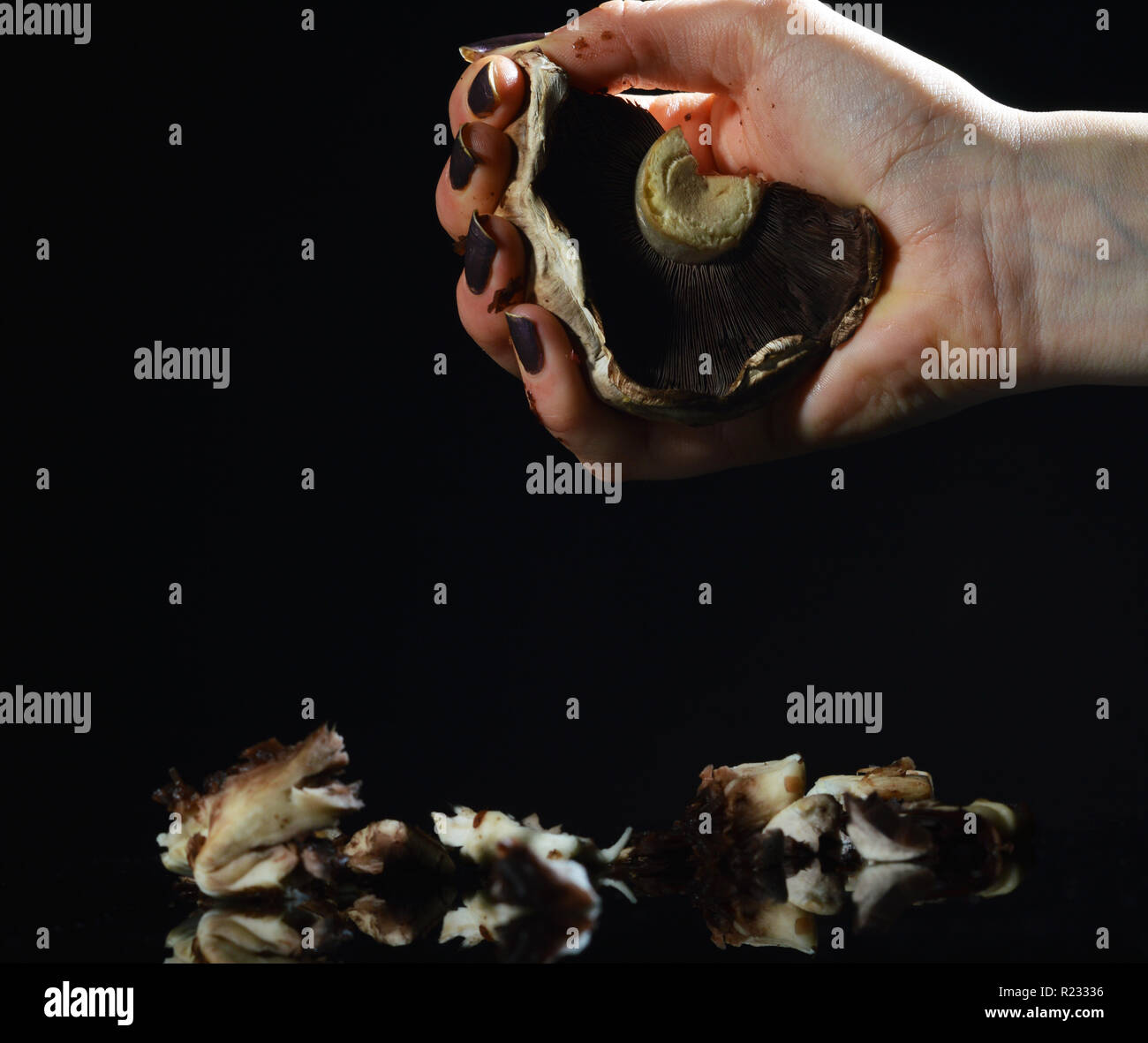 Hand crushing bottle hires stock photography and images Alamy