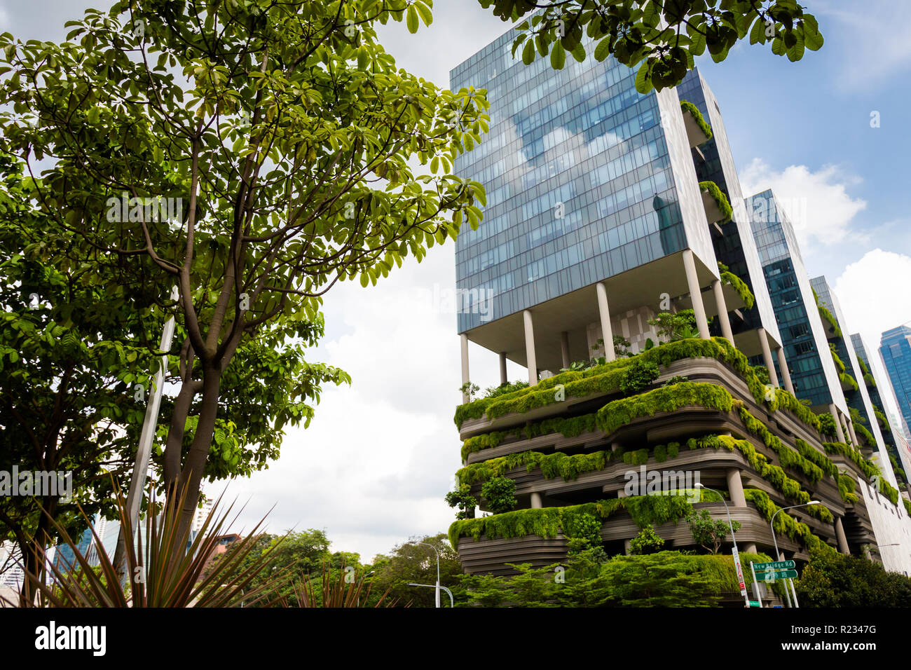Beautiful Modern Futuristic Architecture Of Singapore Cityscape In