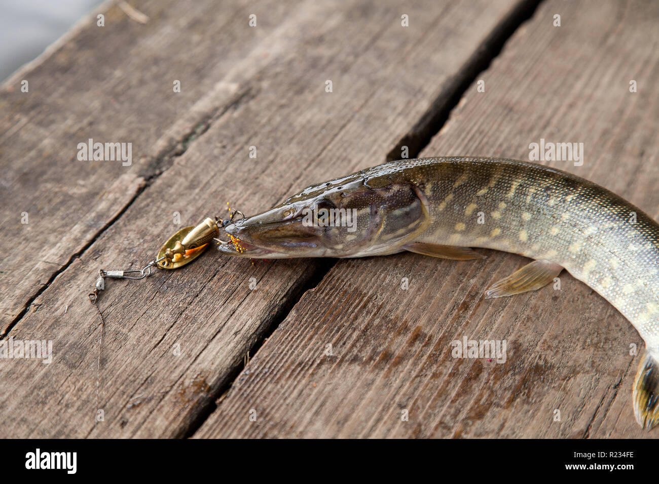 Vintage fishing lure hi-res stock photography and images - Page 2 - Alamy