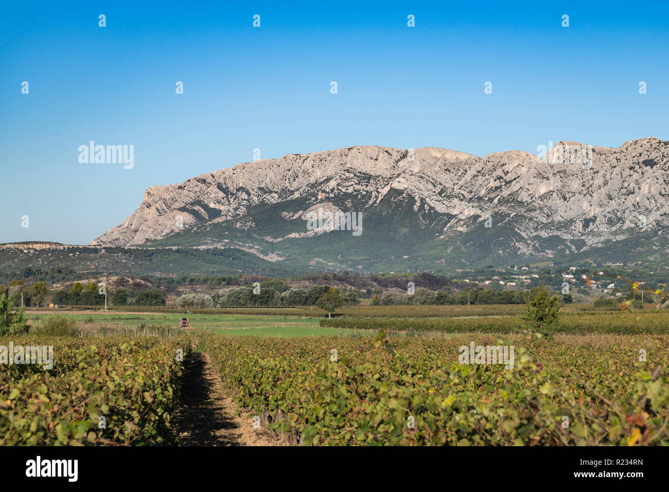 The famous and iconic Mount Sainte-Victoire in background with vineyards in South of France  near a village called Puyloubier. France, Europe Stock Photo