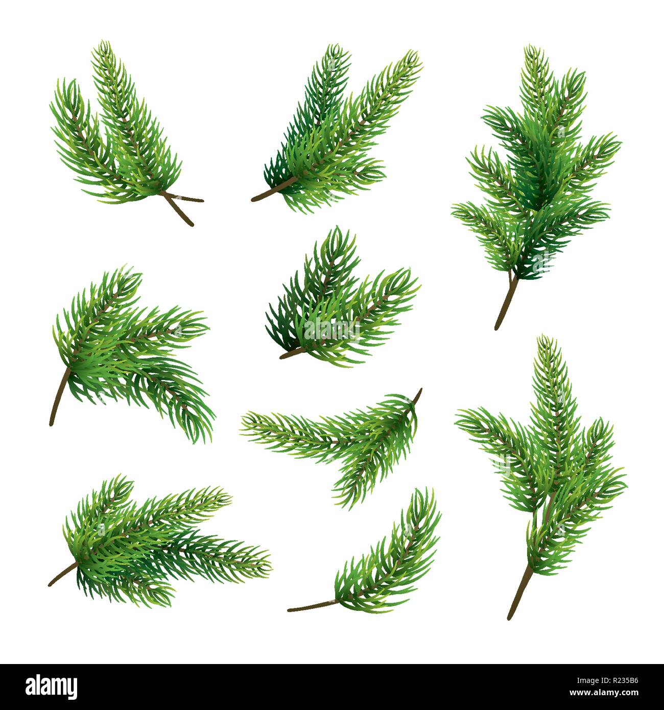 Set of fir branches isolated on white background. Christmas tree. Stock Vector