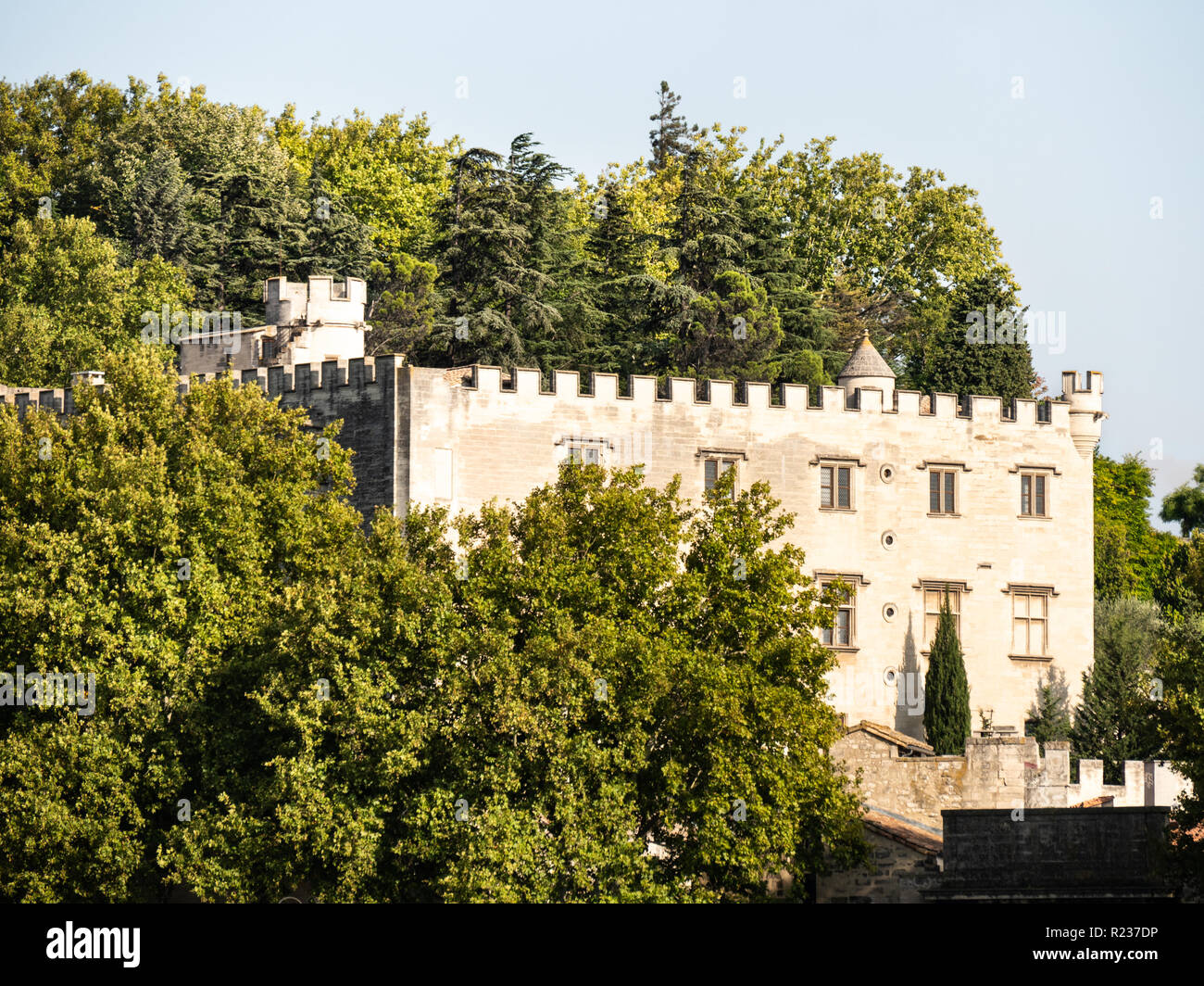 The Papal palace is an historical palace located in Avignon, southern France. It is one of the largest and most important medieval Gothic buildings in Stock Photo