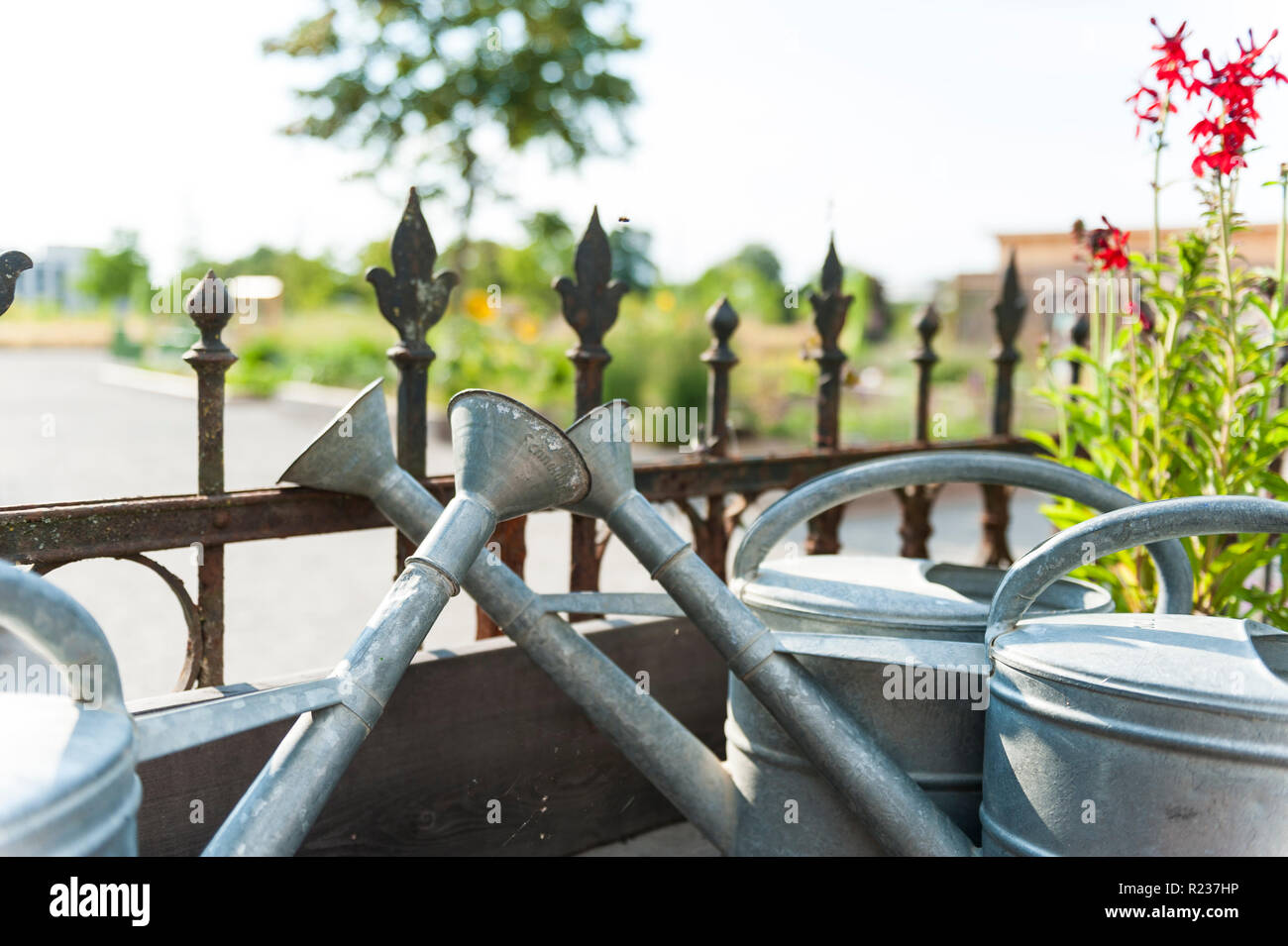 Vintage Watering Cans Stock Photo