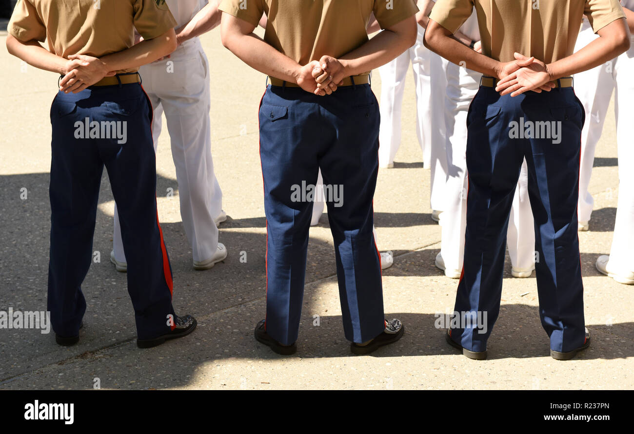 US Navy sailors from the back. US Navy army. Stock Photo