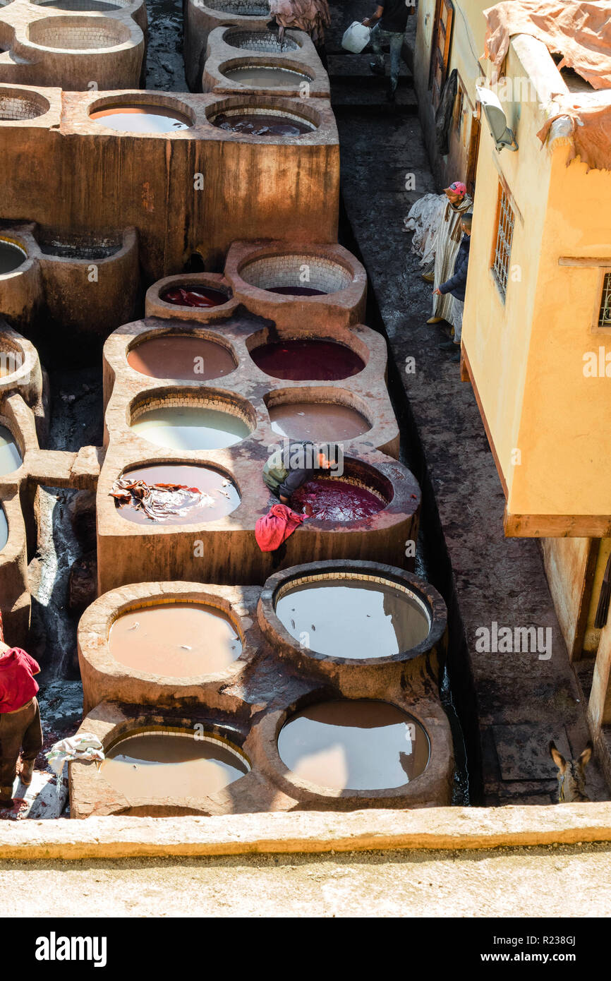 Tannery in Fes, Morocco. North Africa, Africa Stock Photo