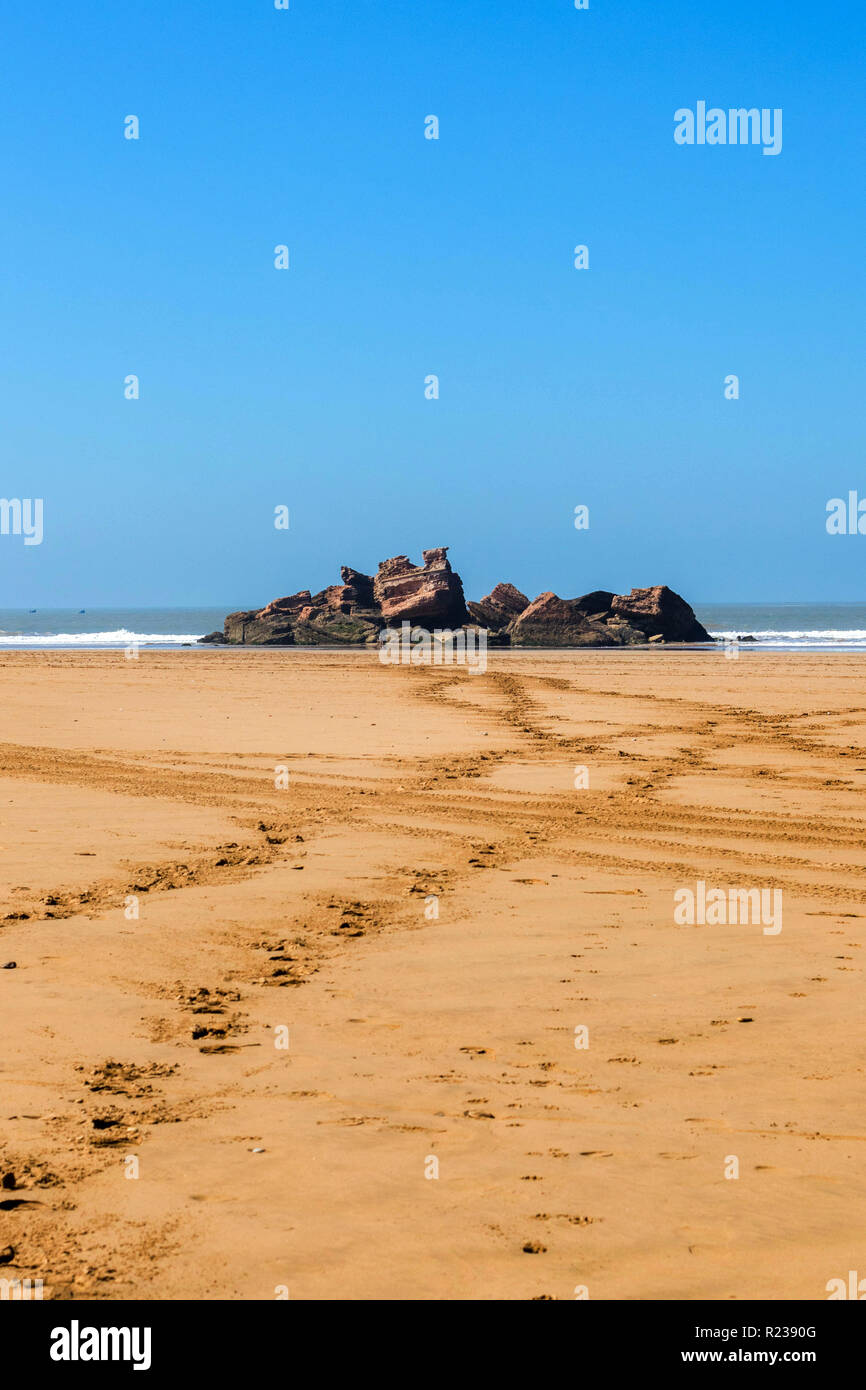 Seagulls flying and boats resting over the sunset, view old town harbour, Skala, Essaouira, Atlantic coast, Morocco, North Africa, Africa Stock Photo