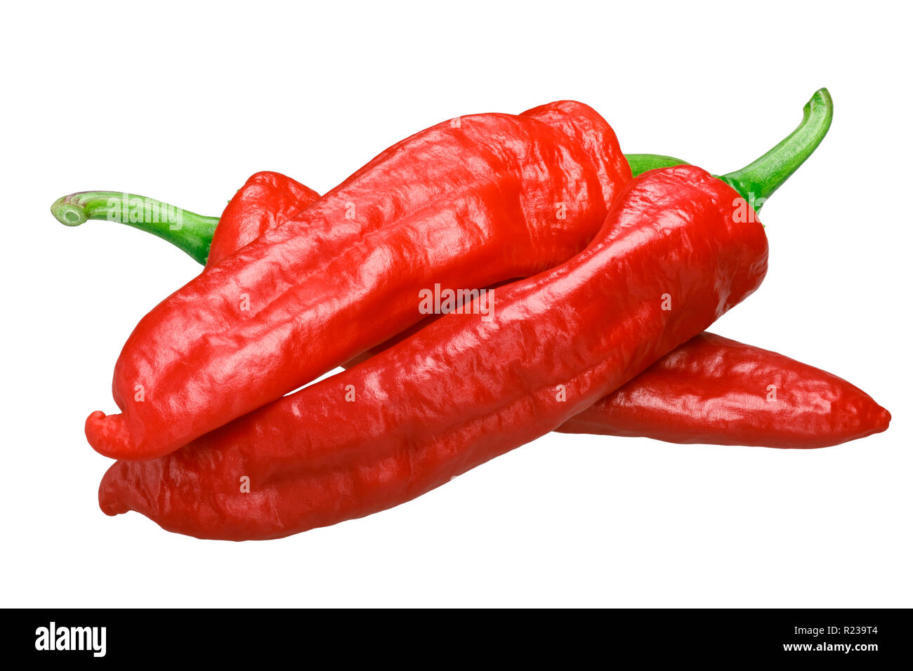 Aleppo pepper (Capsicum annuum), fresh overripe whole pods Stock Photo