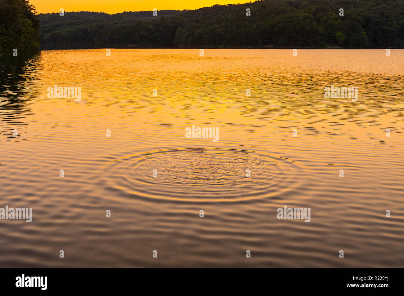 Splash In Lake At Sunset, Pennsylvania, USA Stock Photo