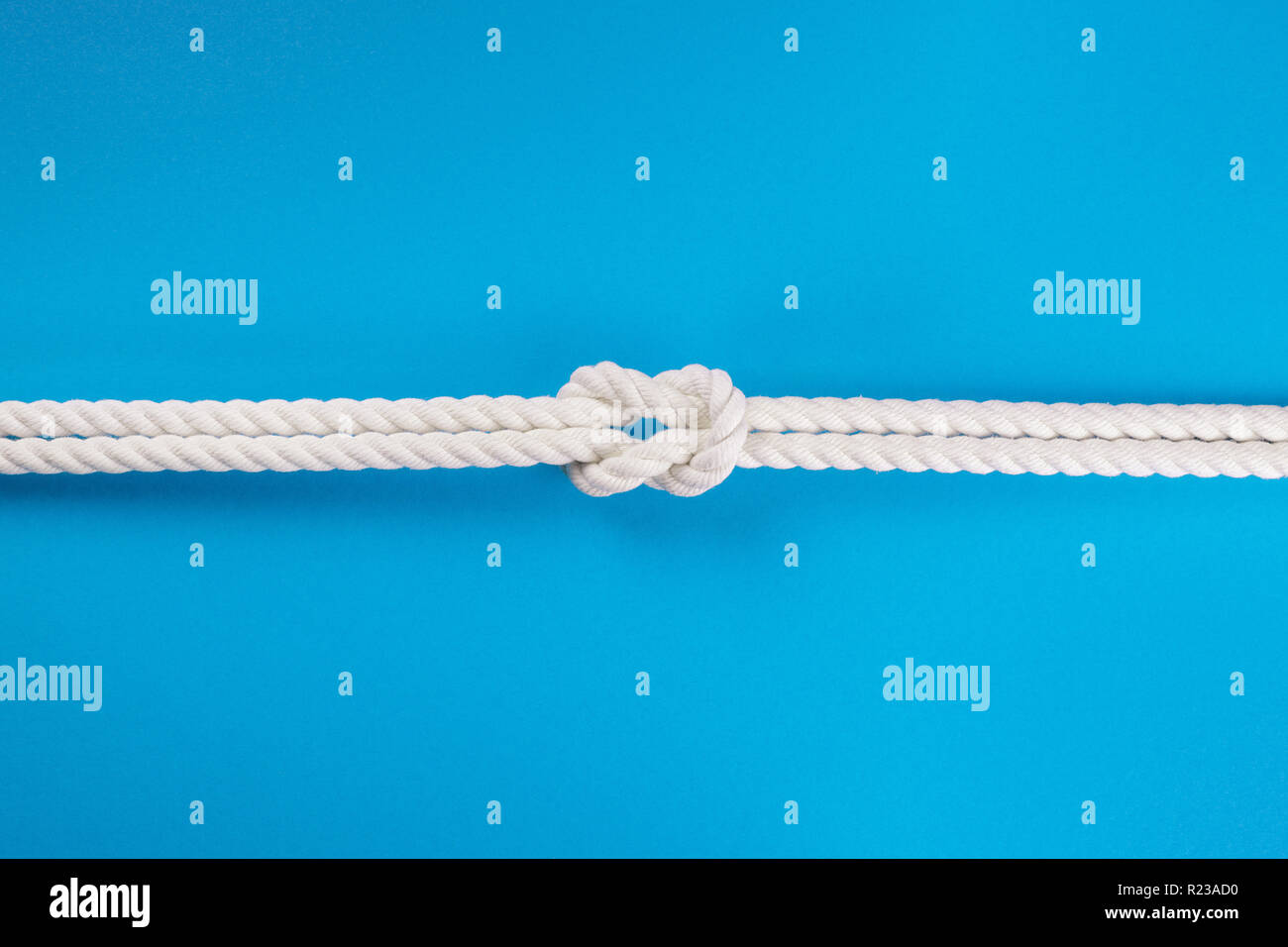 Reef knot hires stock photography and images Alamy