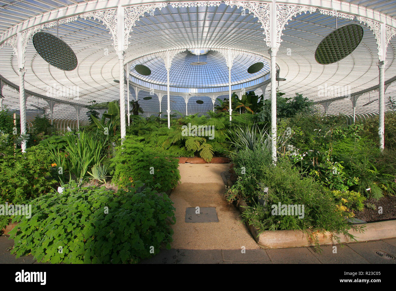 Glasgow Botanical Gardens in Scotland, Britain Stock Photo Alamy
