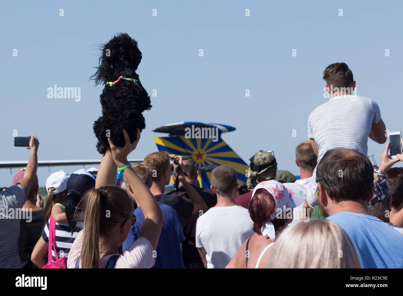 MAYSKE, UKRAINE – AUGUST 24, 2018: Spectator with dog watch the performance, Open Festival on Ukraine Independence Day 'Vilne Nebo 2018' / 'Free Sky 2 Stock Photo