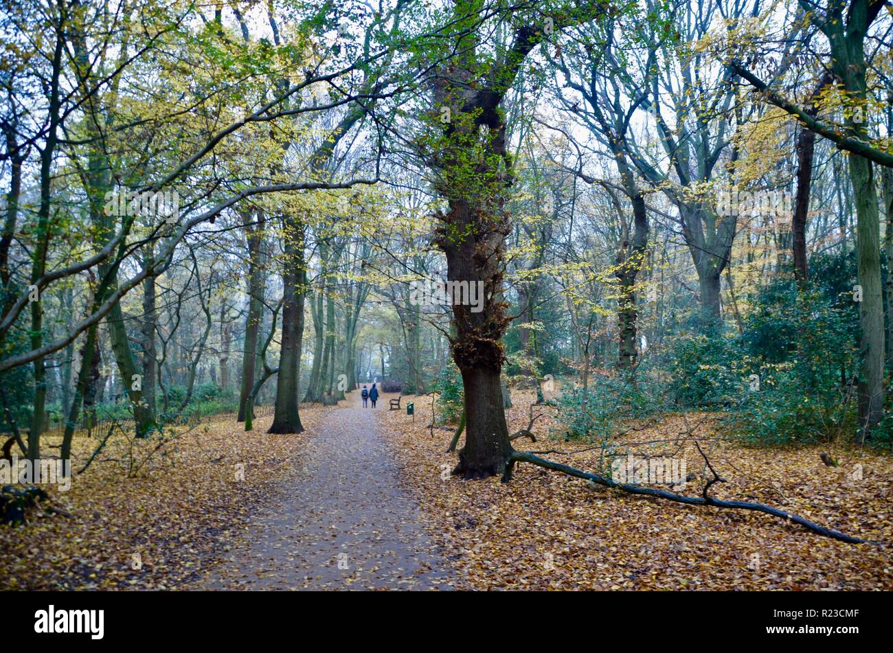 people walking in historic highgate wood north london N10 england Stock