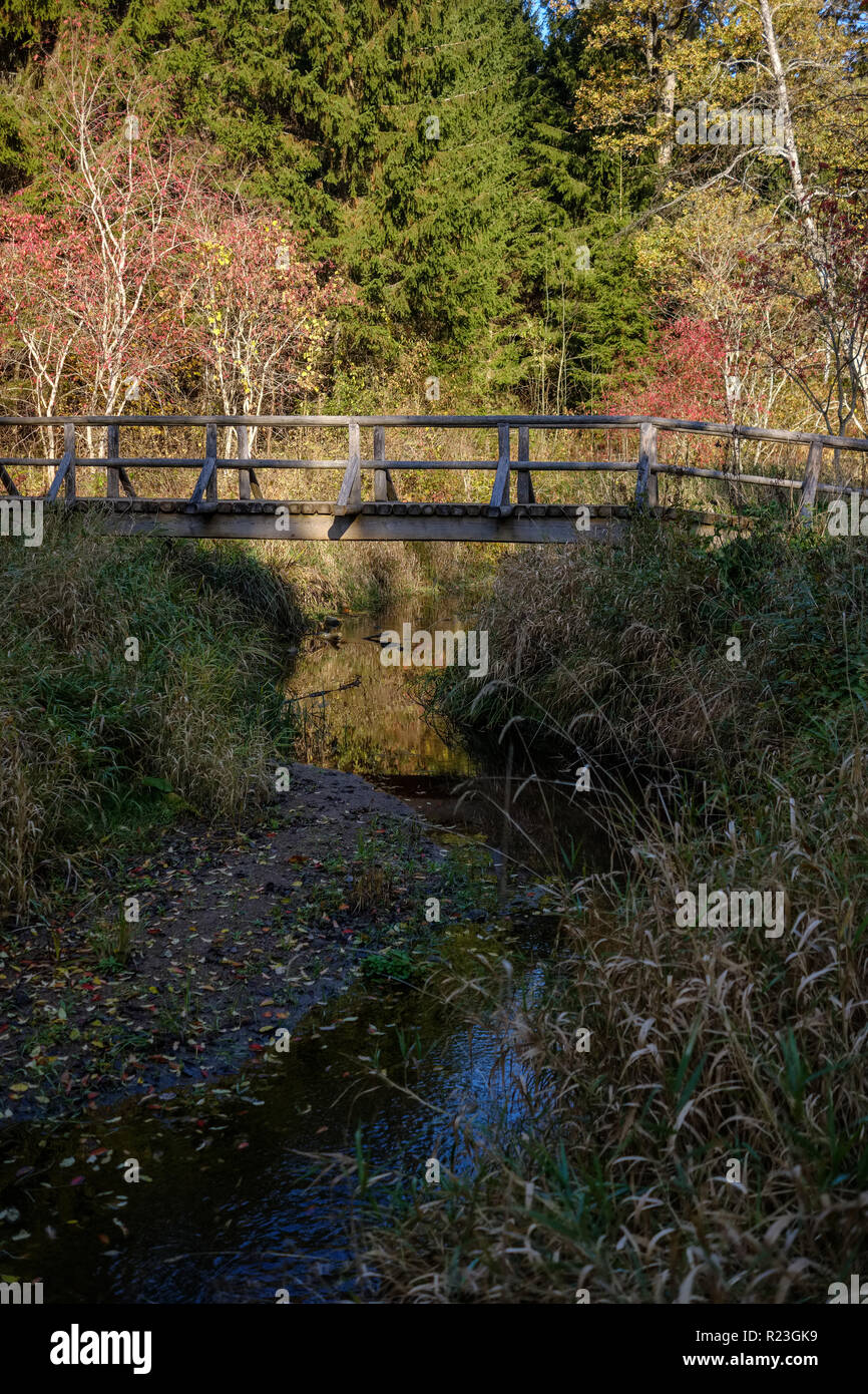 wooden and composite material foot bridge over water in green summer forest surroundings with