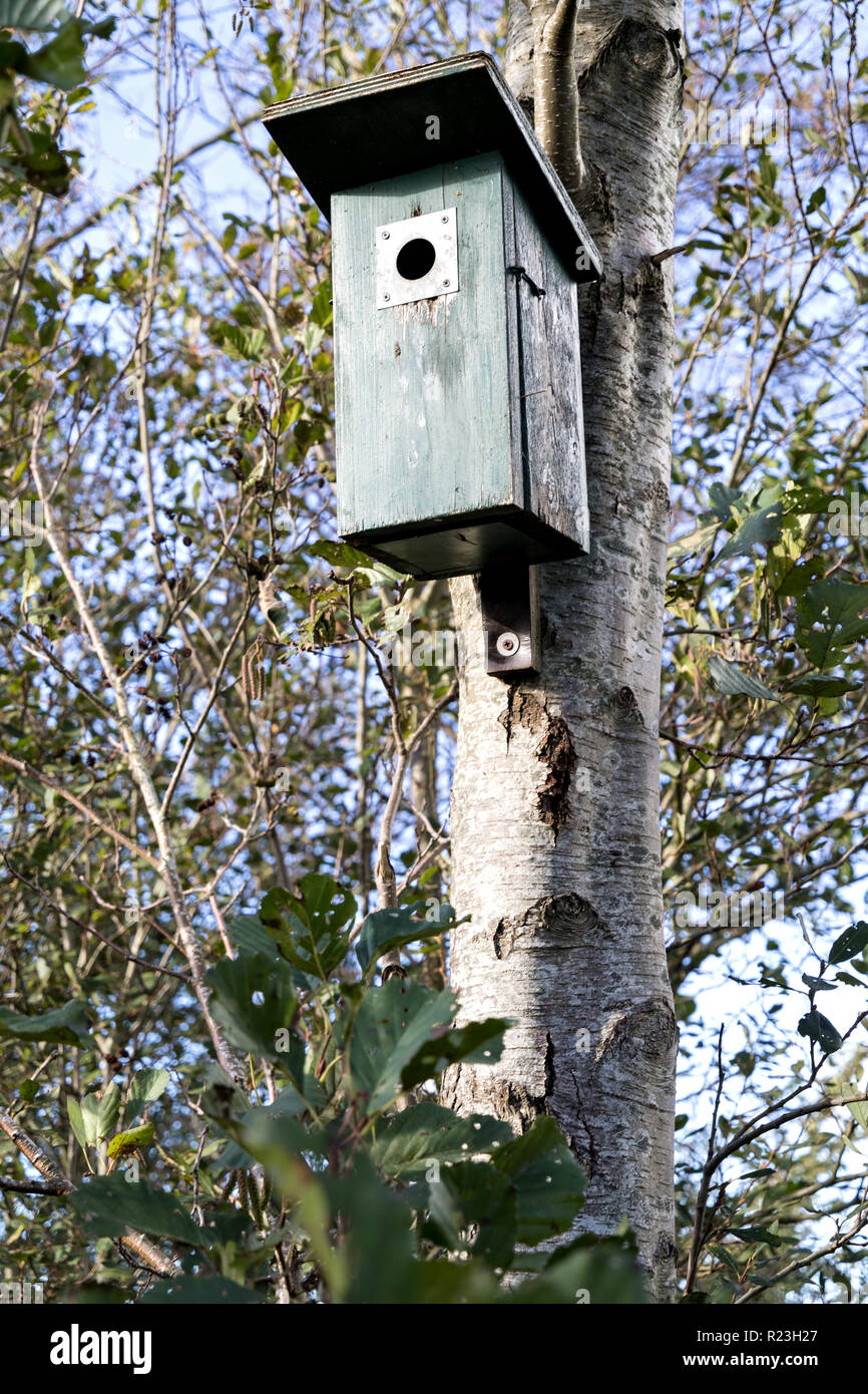 nest box on a tree Stock Photo