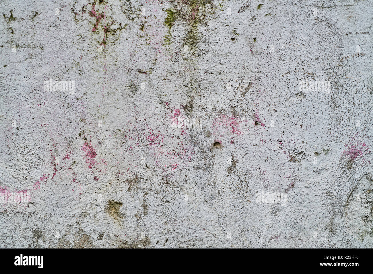 Old gray stone wall with green moss texture background Stock Photo - Alamy