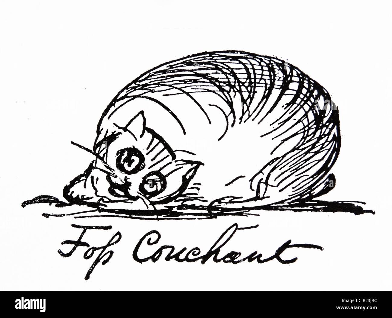 A cat caracater by Edward Lear (1812-1888) English artist, illustrator, author and poet, and is known now mostly for his literary nonsense in poetry and prose and especially his limericks, Stock Photo